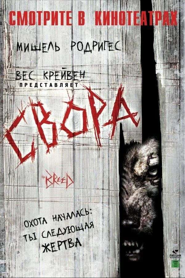 Смотреть Фильм Свора(2006) бесплатно