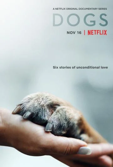 Смотреть Сериал Собаки(2018) бесплатно